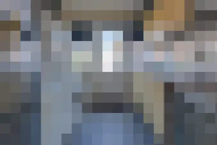 Snip 1 Ursem thumbnail 35