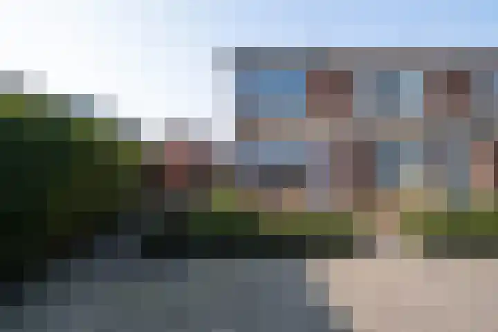 Snip 1 Ursem thumbnail 38