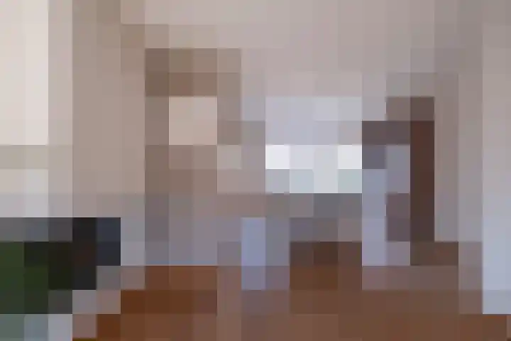 Snip 1 Ursem thumbnail 7