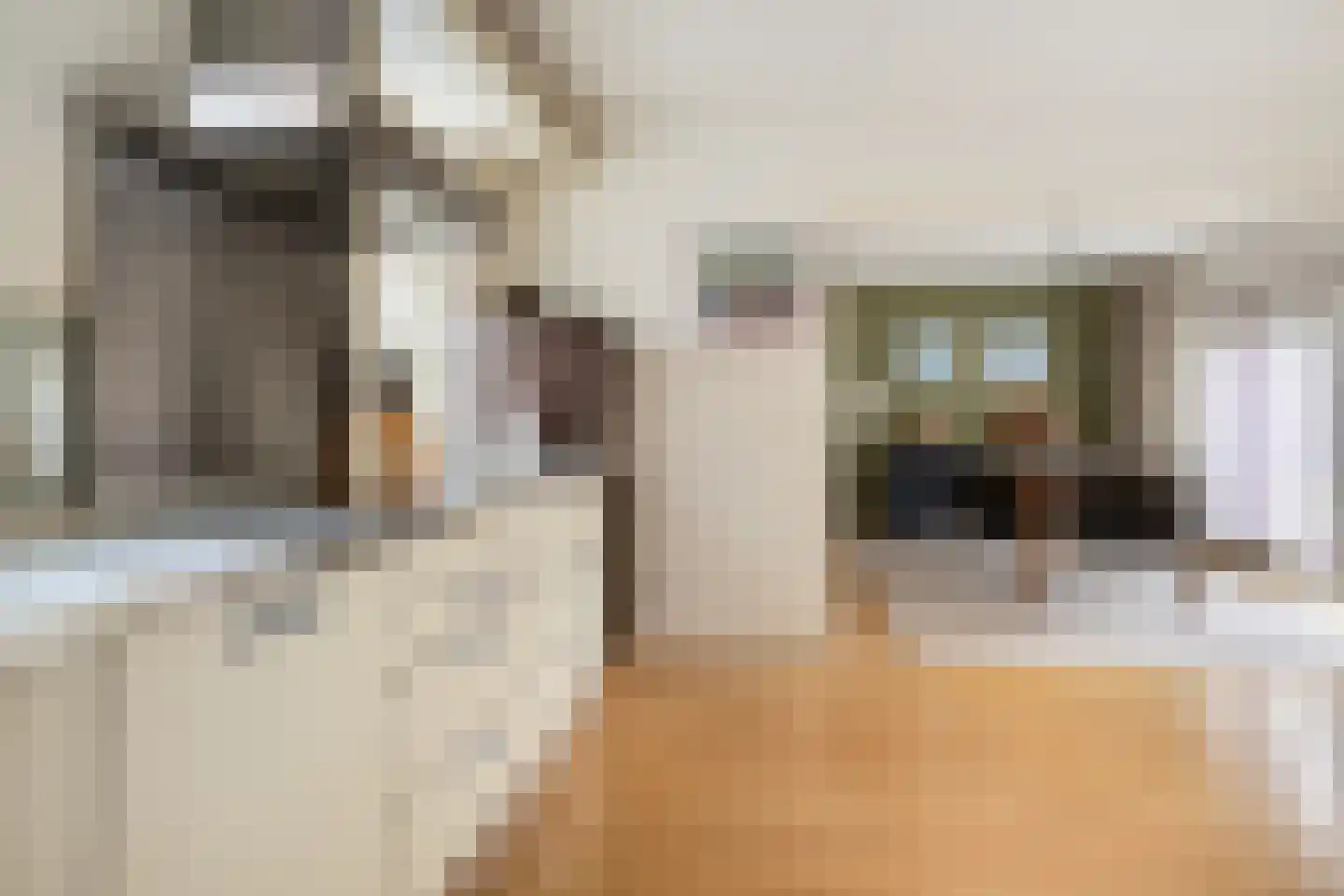 Snip 102 Groningen thumbnail 19