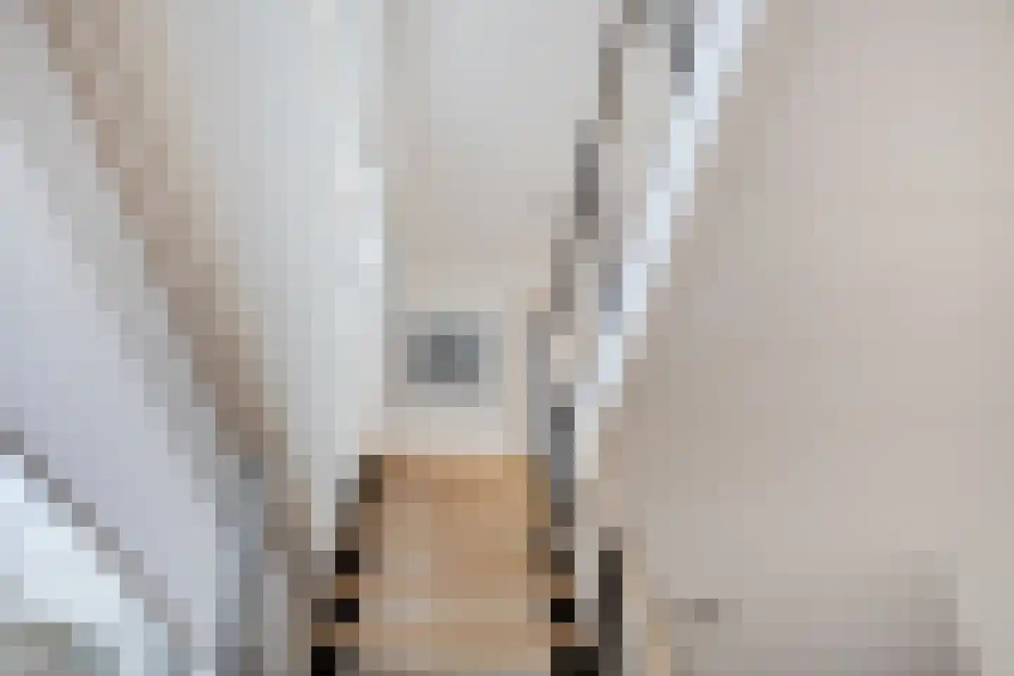 Snip 102 Groningen thumbnail 25