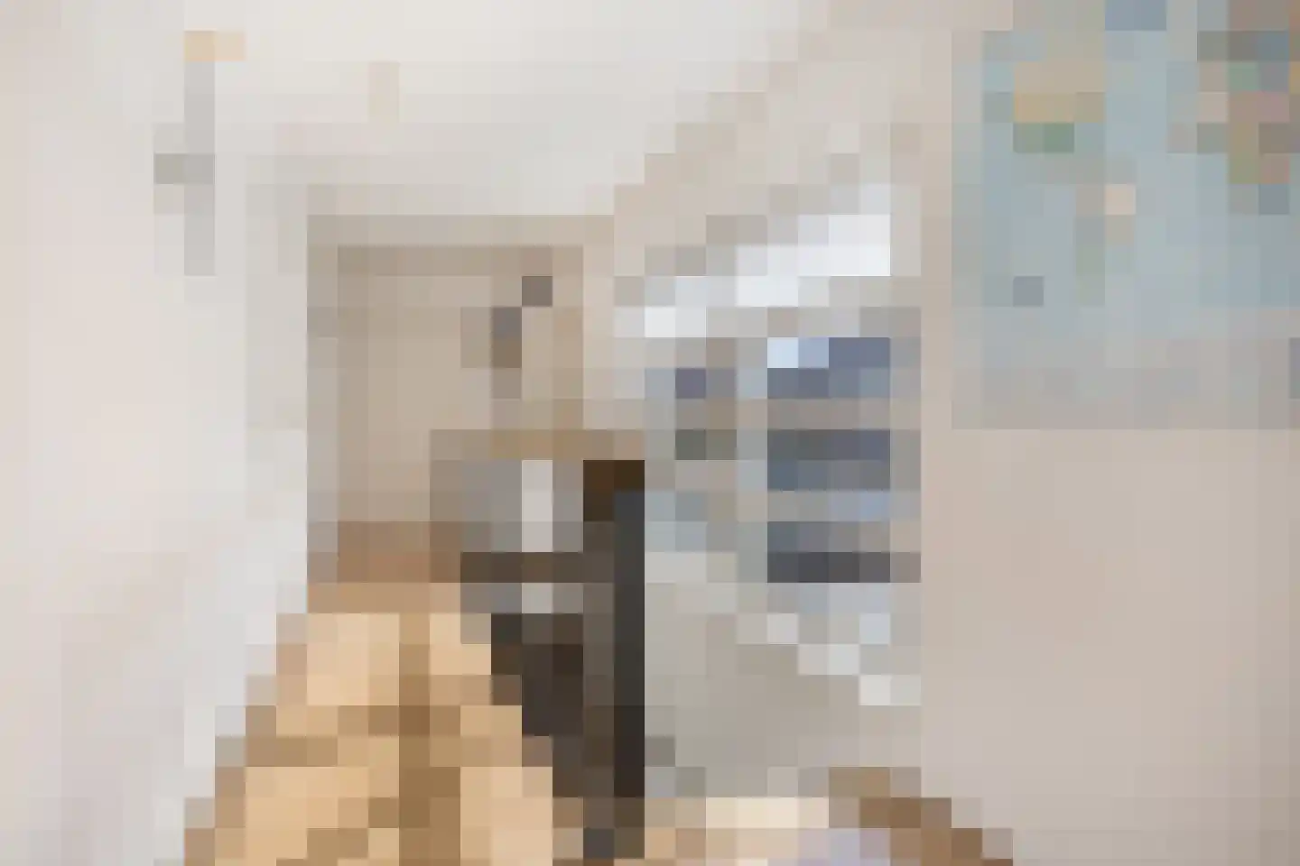 Snip 102 Groningen thumbnail 26