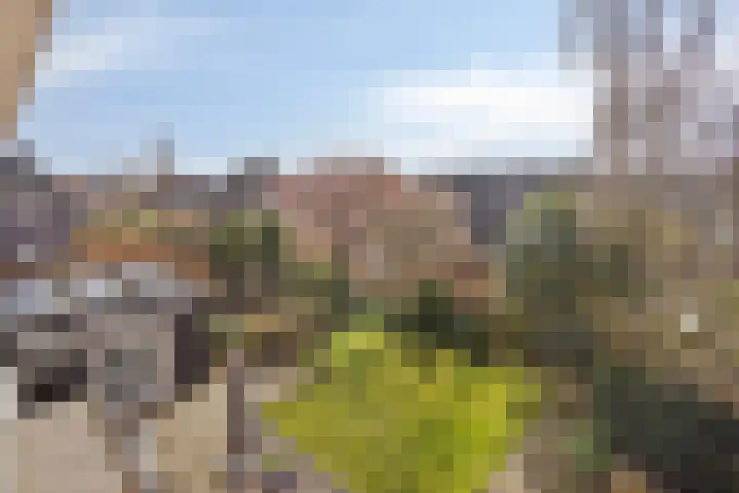 Snip 102 Groningen thumbnail 43