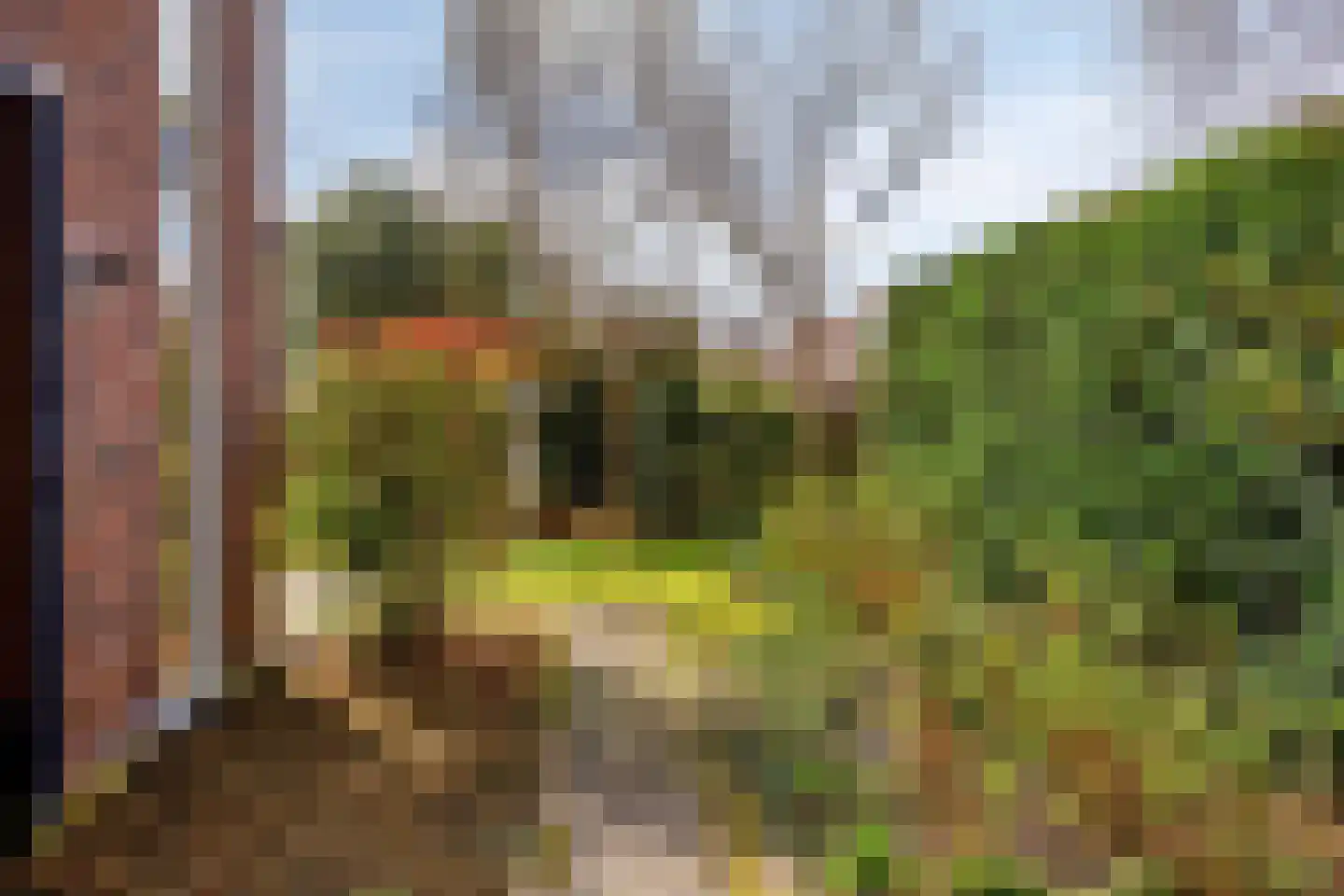 Snip 102 Groningen thumbnail 46