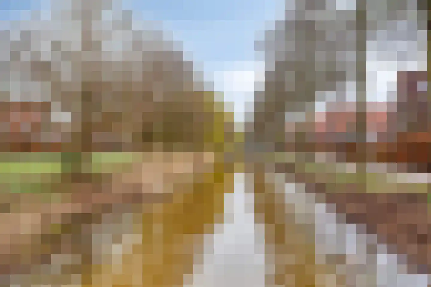 Snip 102 Groningen thumbnail 47