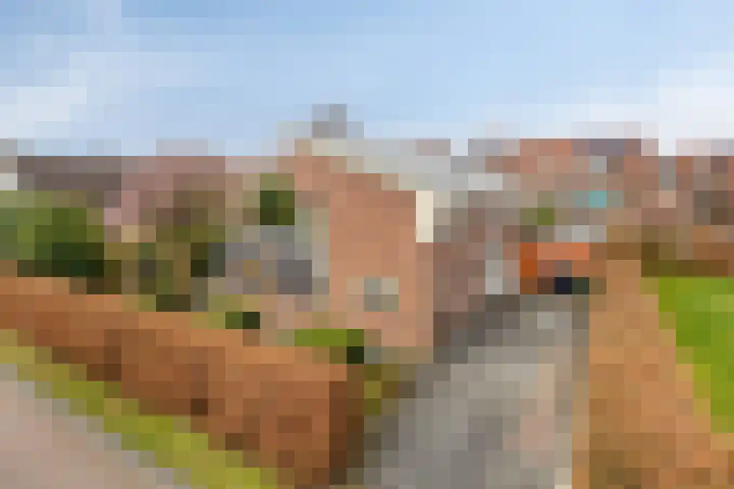 Snip 102 Groningen thumbnail 5