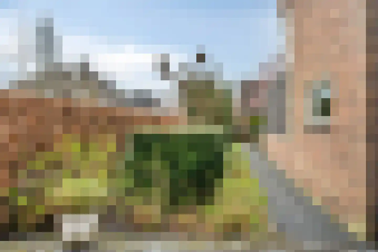 Snip 102 Groningen thumbnail 50