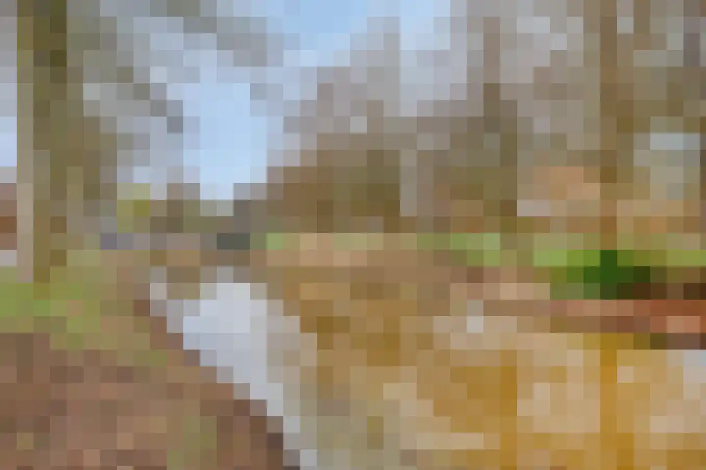 Snip 102 Groningen thumbnail 53