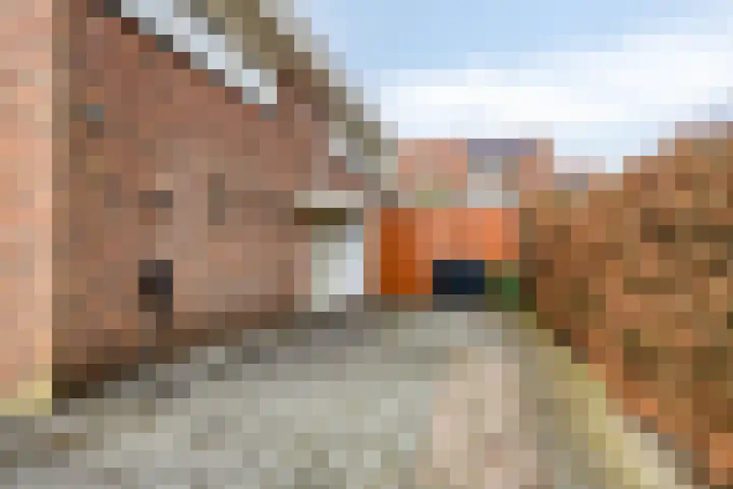 Snip 102 Groningen thumbnail 6