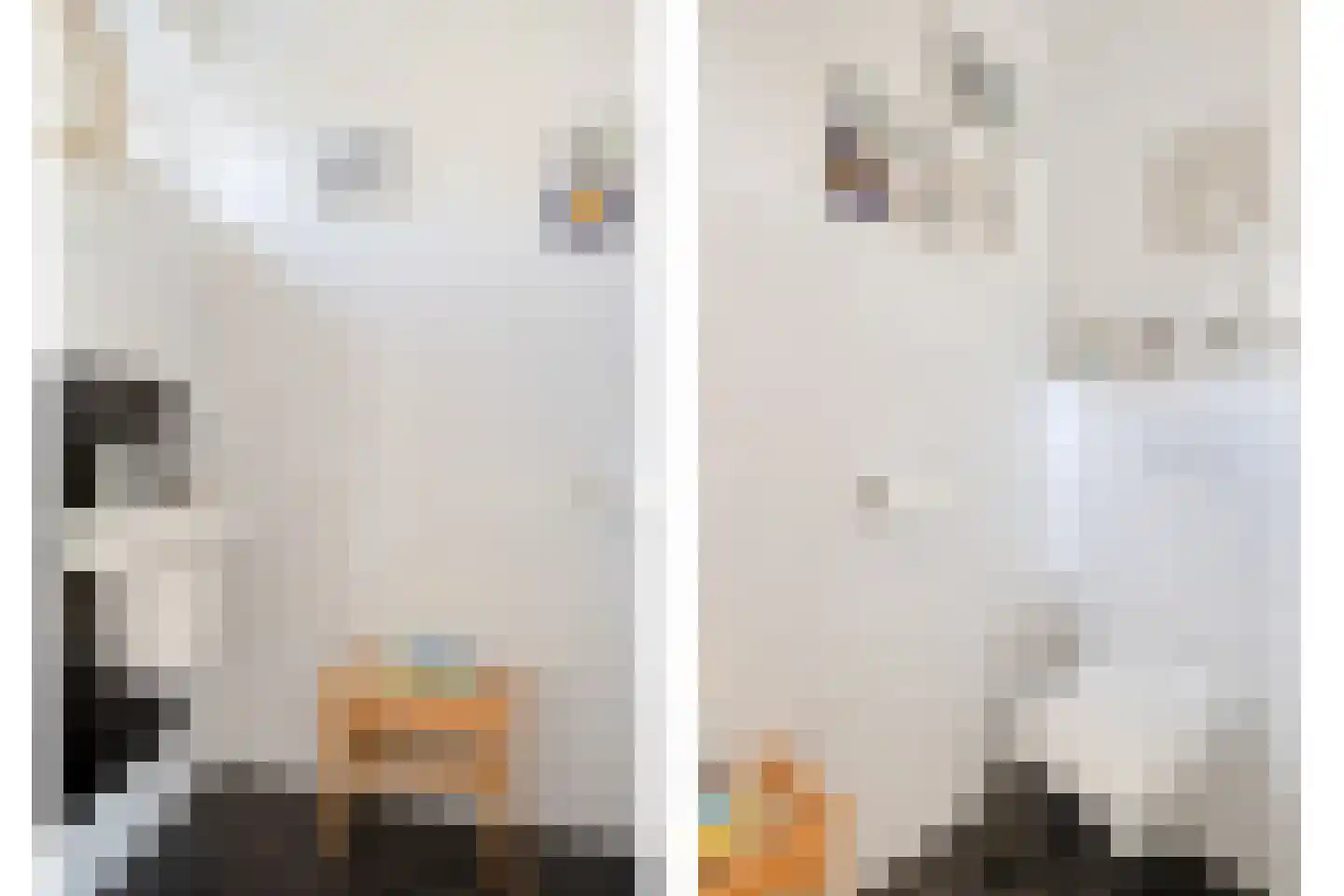Snip 102 Groningen thumbnail 9