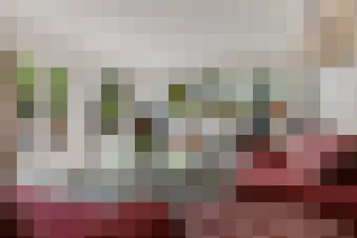 Snip 113 Groningen thumbnail 10