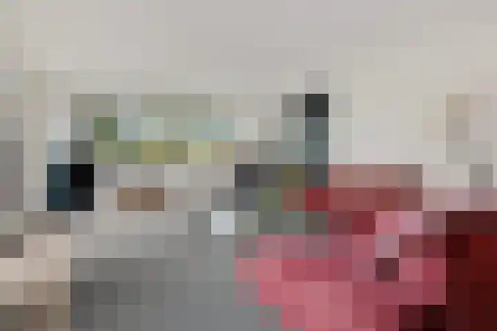 Snip 113 Groningen thumbnail 11