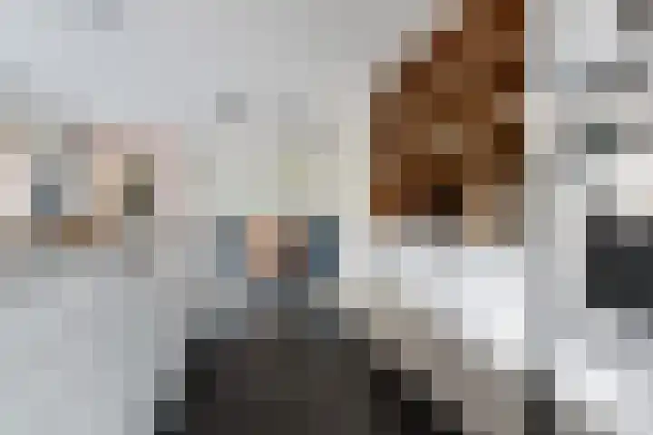 Snip 113 Groningen thumbnail 15