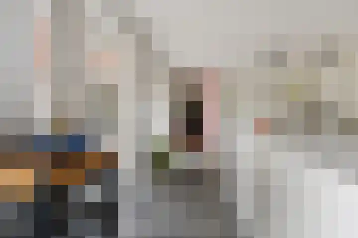 Snip 113 Groningen thumbnail 16