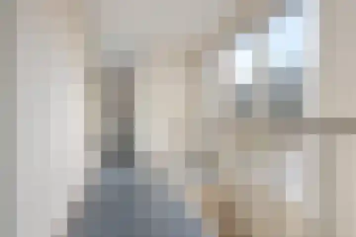 Snip 113 Groningen thumbnail 19