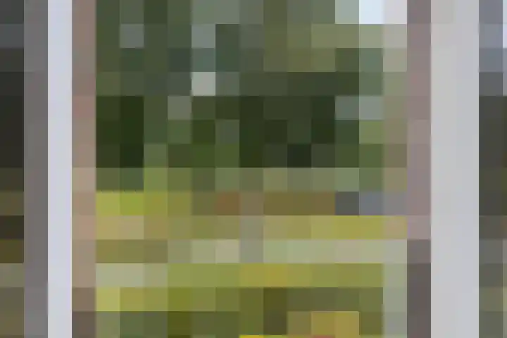 Snip 113 Groningen thumbnail 21