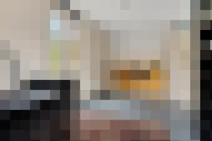 Snip 113 Groningen thumbnail 22