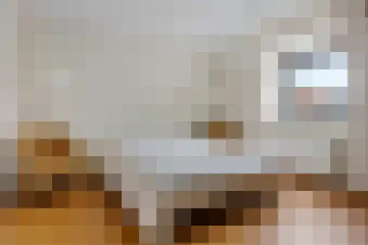 Snip 113 Groningen thumbnail 25