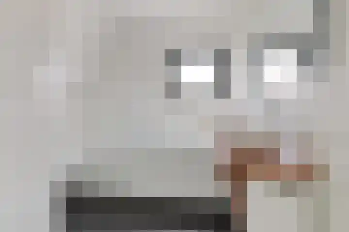 Snip 113 Groningen thumbnail 27