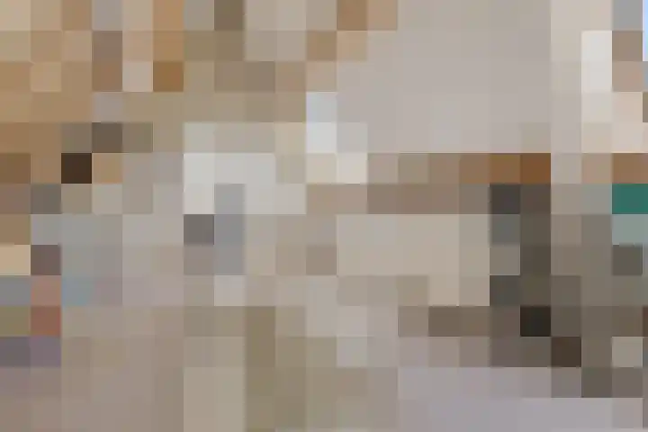 Snip 113 Groningen thumbnail 30