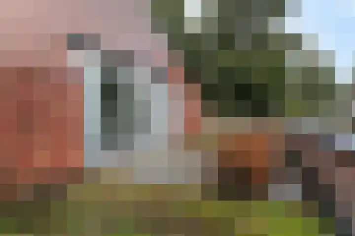 Snip 113 Groningen thumbnail 33