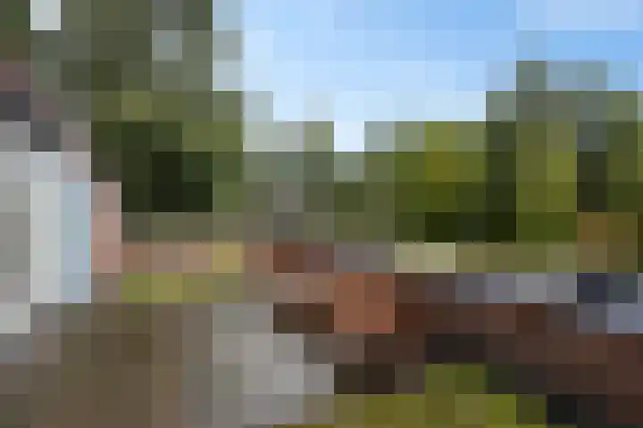 Snip 113 Groningen thumbnail 34