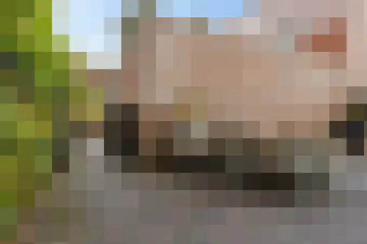 Snip 113 Groningen thumbnail 37