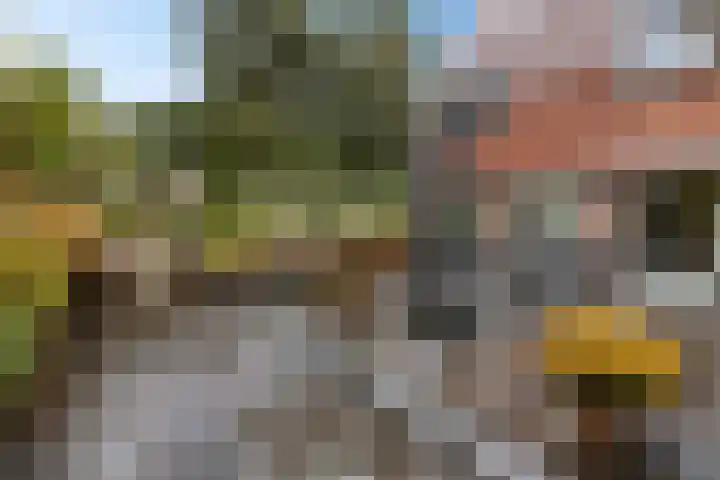 Snip 113 Groningen thumbnail 38