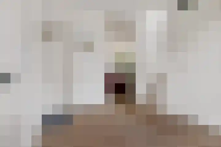 Snip 113 Groningen thumbnail 4