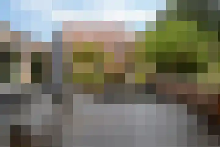 Snip 113 Groningen thumbnail 41