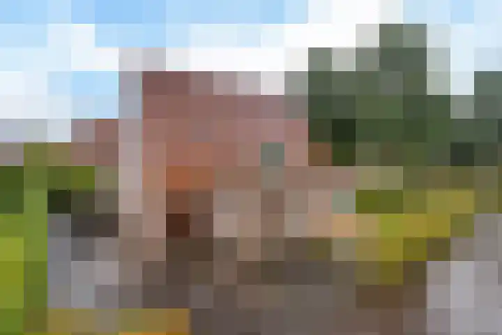 Snip 113 Groningen thumbnail 43