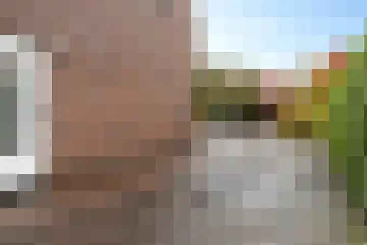 Snip 113 Groningen thumbnail 45