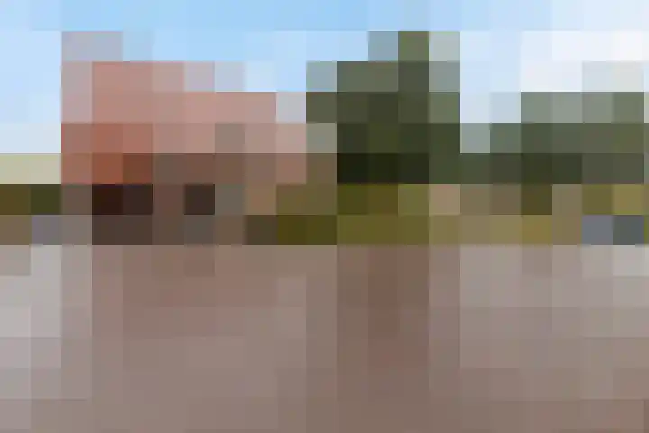 Snip 113 Groningen thumbnail 46