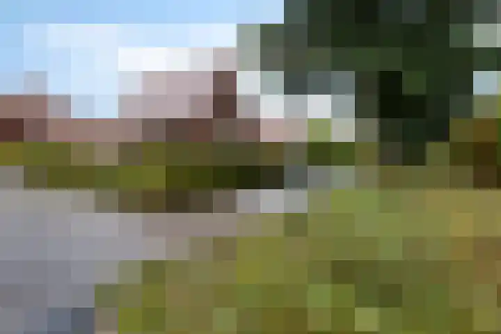 Snip 113 Groningen thumbnail 47