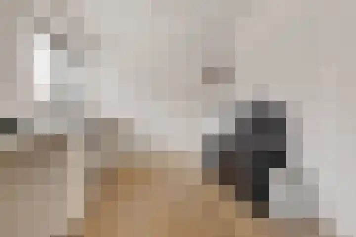 Snip 113 Groningen thumbnail 6