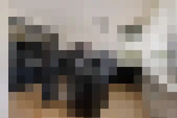 Snip 113 Groningen thumbnail 8