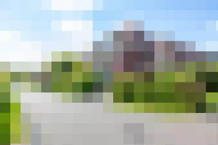Snip 118 Groningen thumbnail 11