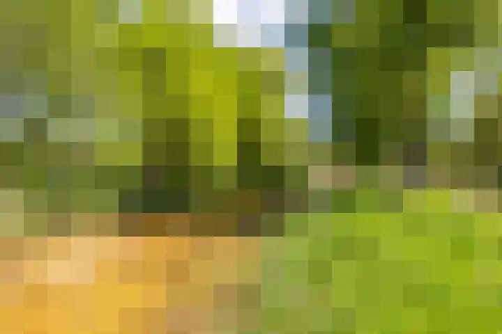 Snip 118 Groningen thumbnail 12