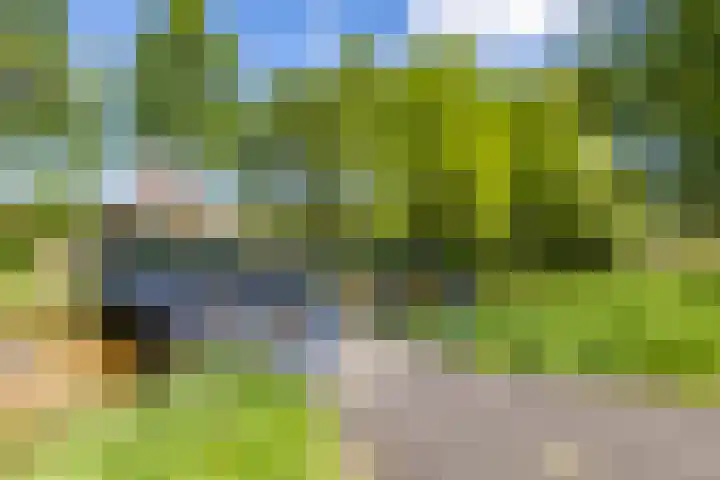 Snip 118 Groningen thumbnail 13