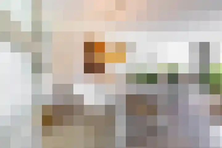 Snip 118 Groningen thumbnail 16