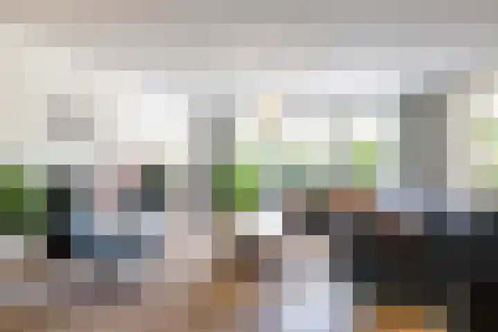 Snip 118 Groningen thumbnail 18