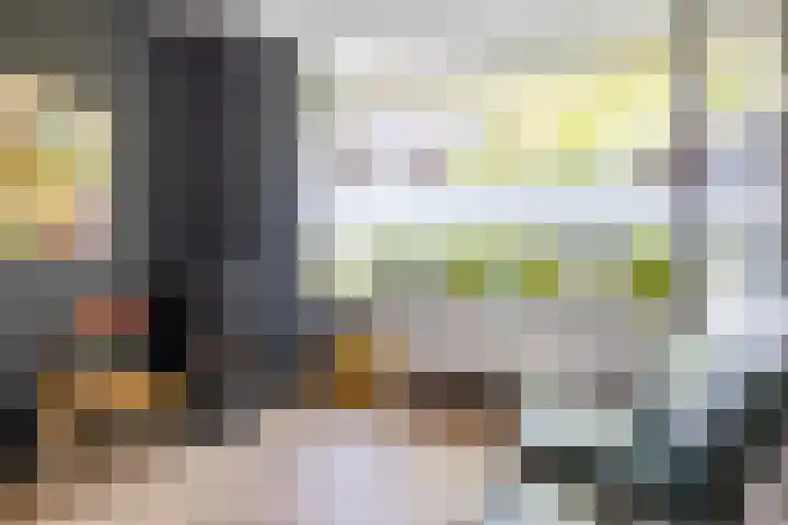 Snip 118 Groningen thumbnail 21