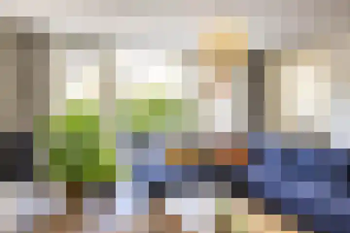 Snip 118 Groningen thumbnail 24