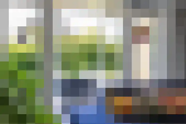 Snip 118 Groningen thumbnail 25