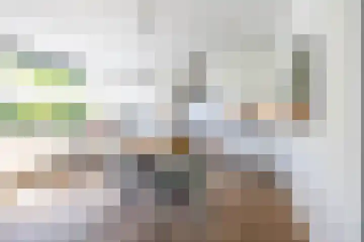 Snip 118 Groningen thumbnail 26