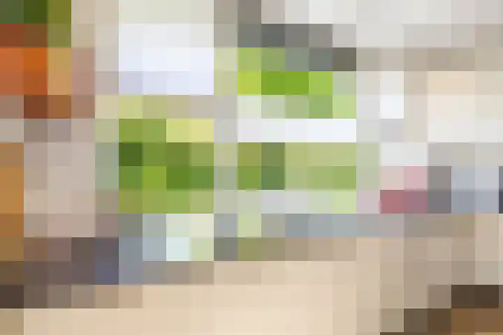 Snip 118 Groningen thumbnail 28
