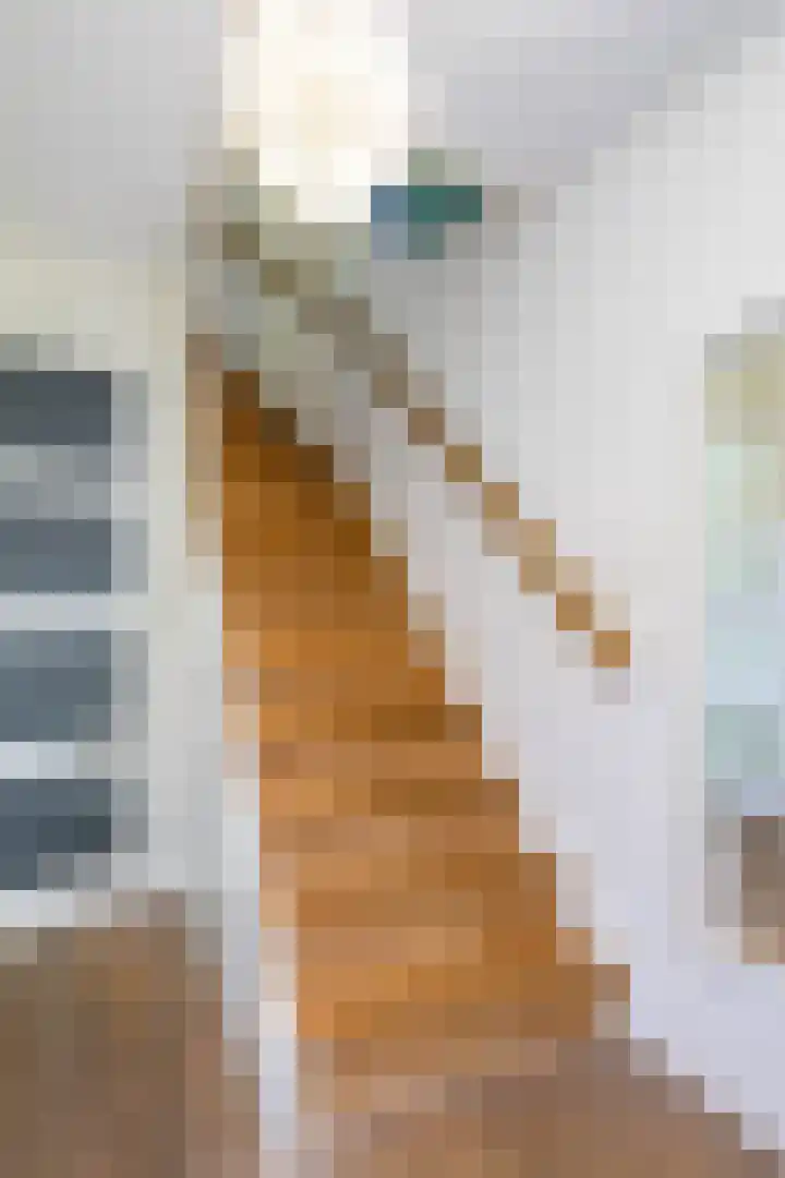 Snip 118 Groningen thumbnail 31
