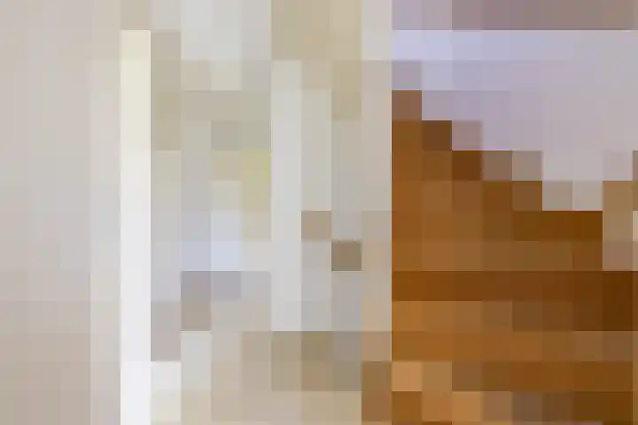 Snip 118 Groningen thumbnail 32