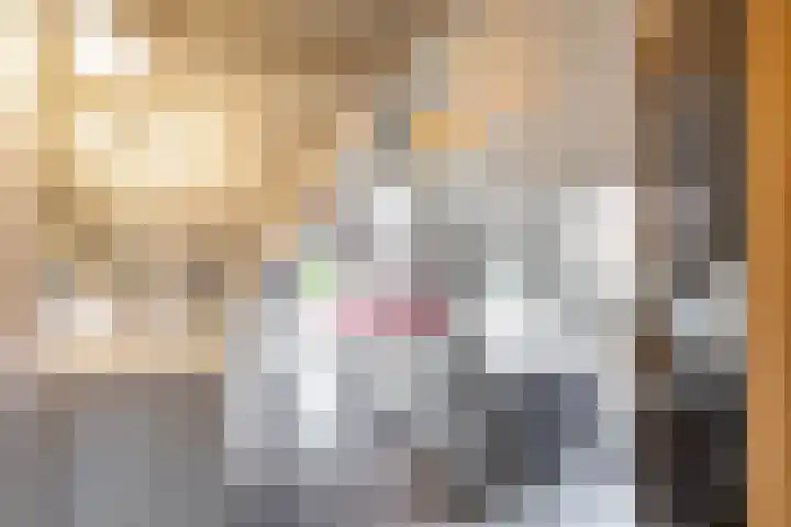 Snip 118 Groningen thumbnail 35