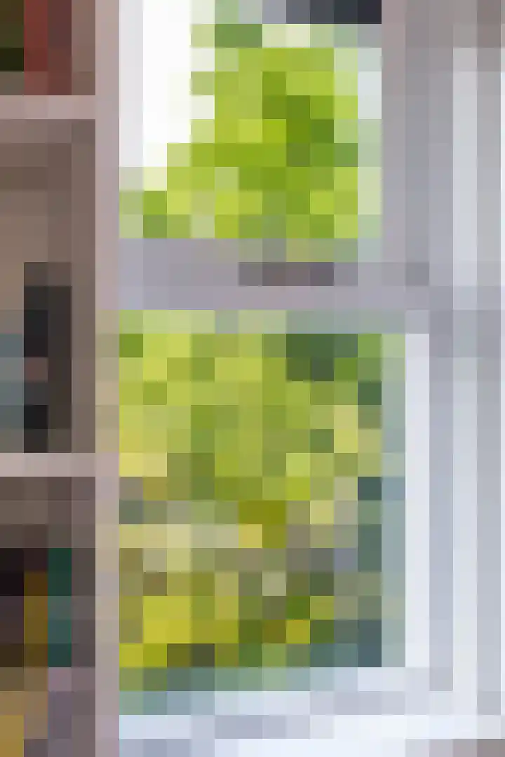 Snip 118 Groningen thumbnail 37